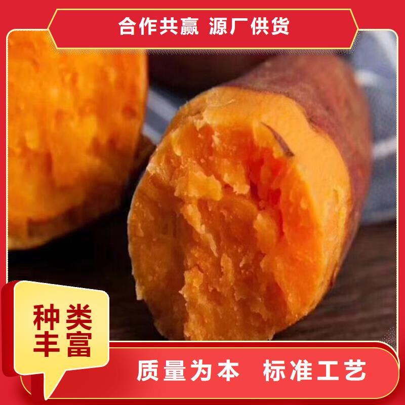 紫薯雪花片视频-辽宁省沈阳市|大东|康平|盘锦|铁岭|营口|大连紫薯雪花片-乐农