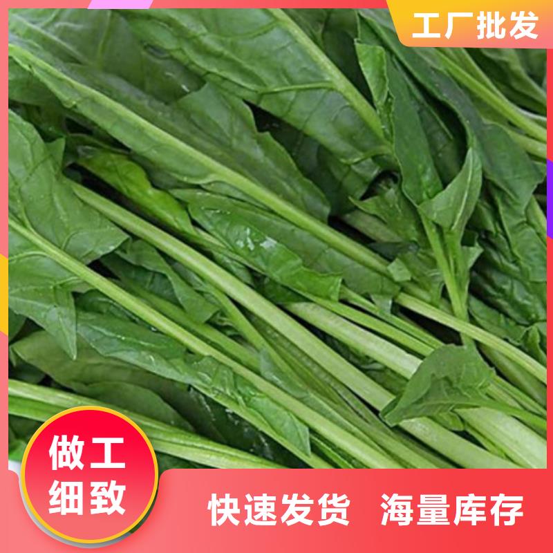 脱水蔬菜价格行情