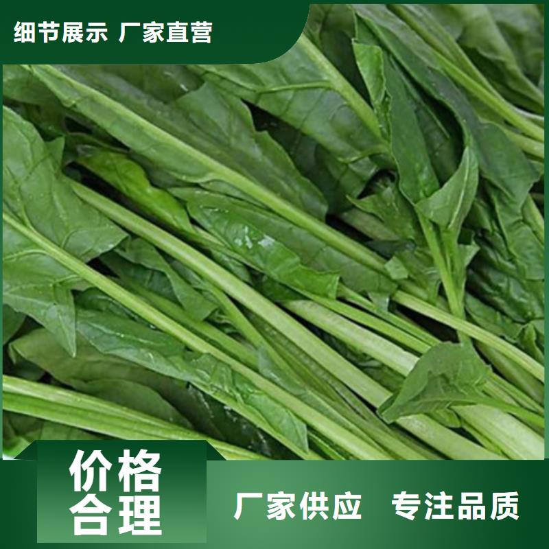 优选：绿色菠菜粉厂家