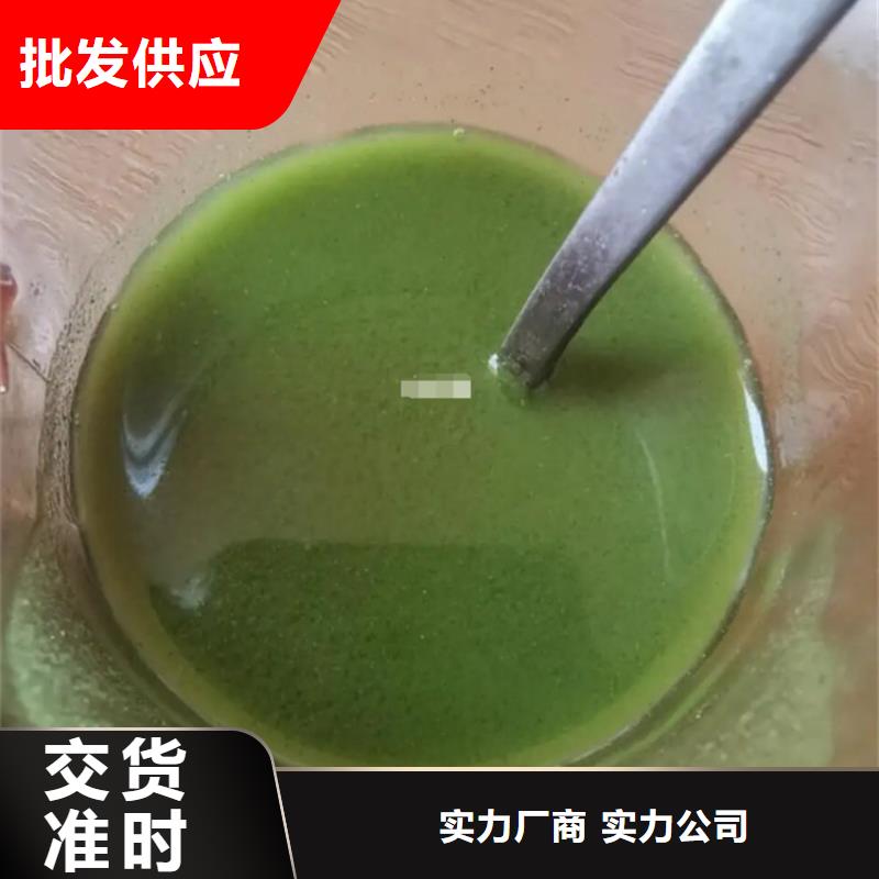 甘蓝粉厂家，质优