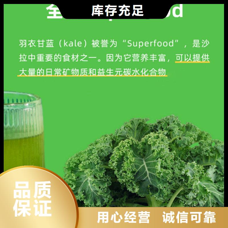 甘蓝粉企业-可接大单