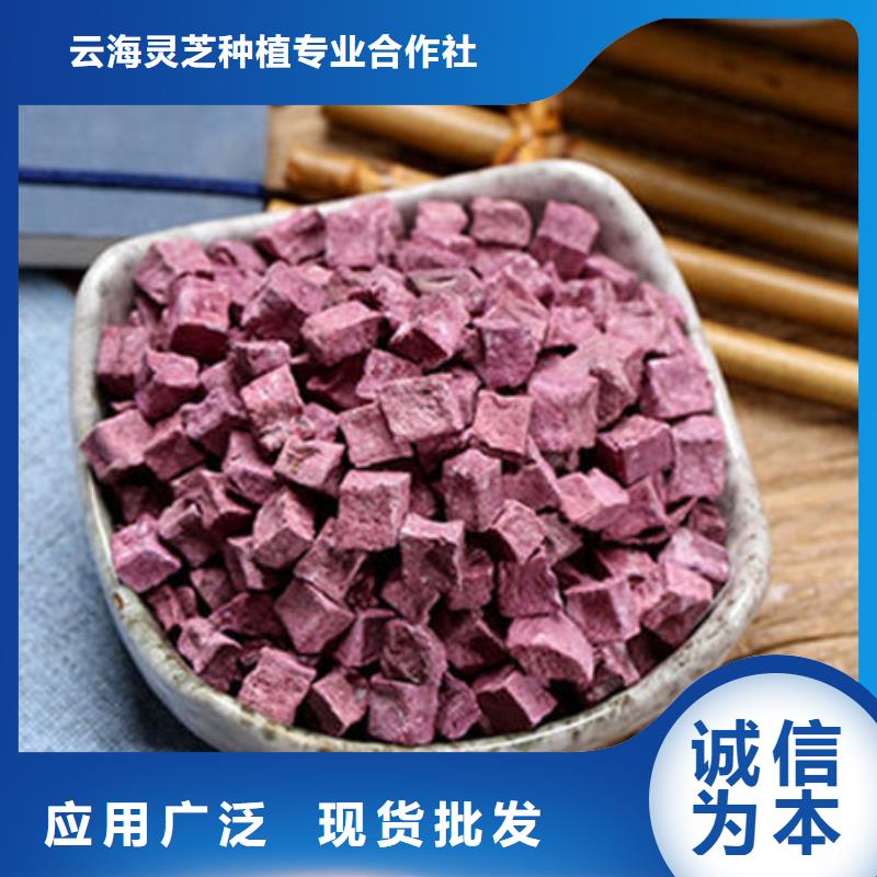紫薯丁灵芝选择大厂家省事省心