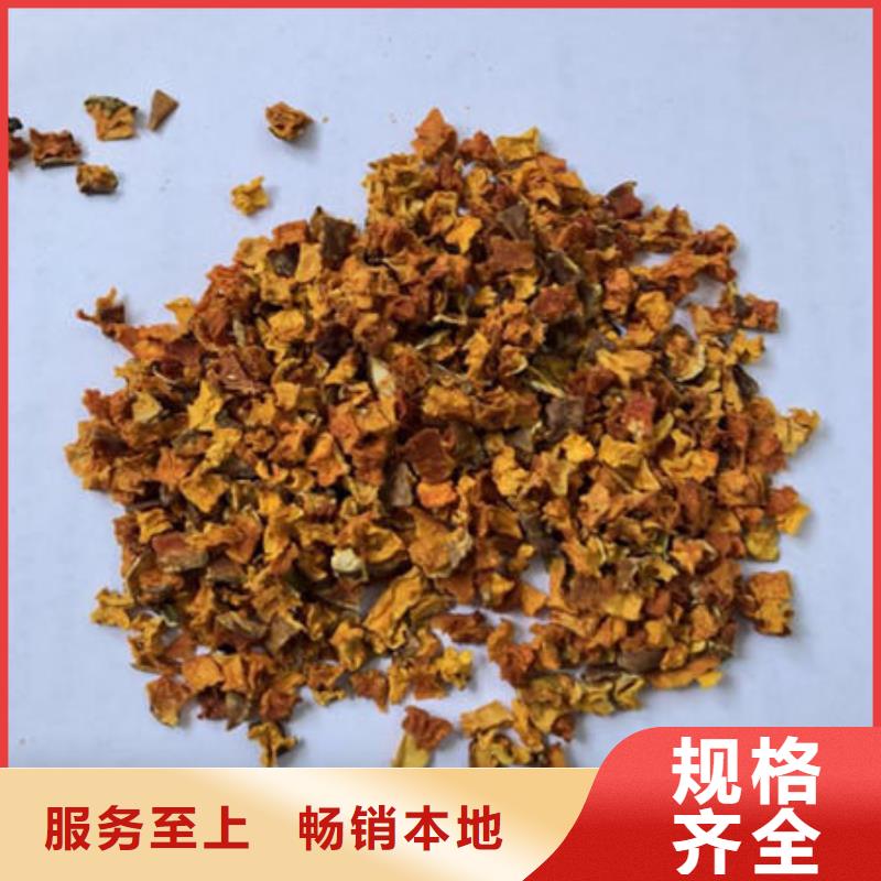 南瓜丁灵芝菌种品种全