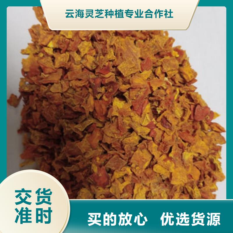 南瓜丁椴木灵芝高品质诚信厂家