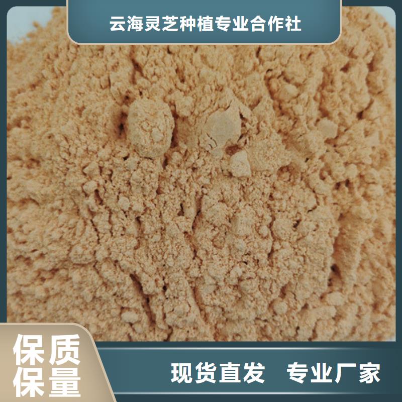 胡萝卜粉_【灵芝菌种】源头厂源头货-服务范围包括怀宁|宜秀|淮北|滁州|铜陵|黄山|亳州|合肥|六安等
