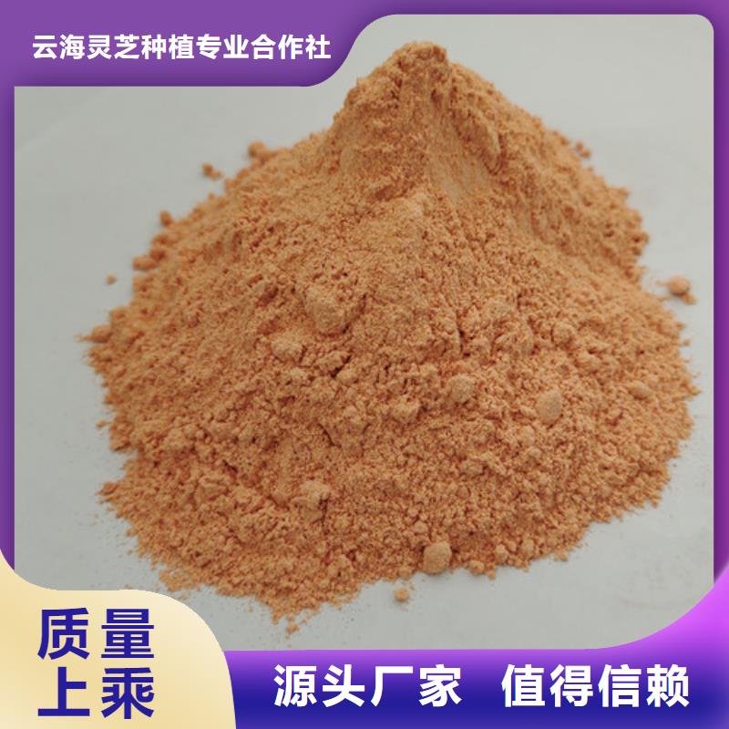 【胡萝卜粉】灵芝孢子粉批发一站式采购方便心