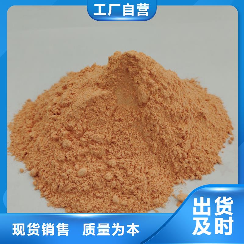 椴木灵芝视频-望谟|贞丰|贵阳|六盘水|黔南|毕节|安顺|黔东南椴木灵芝敢与同行比服务-云海灵芝种植专业社(黔西南市分公司)