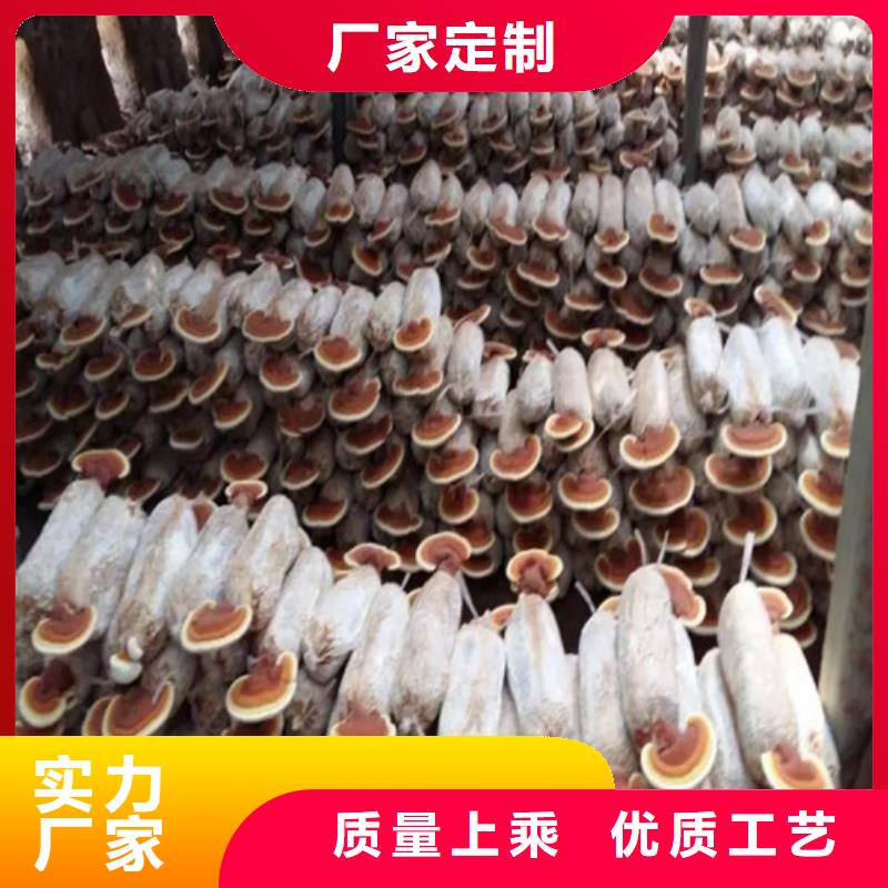 【 灵芝孢子粉 灵芝制造生产销售】本地经销商