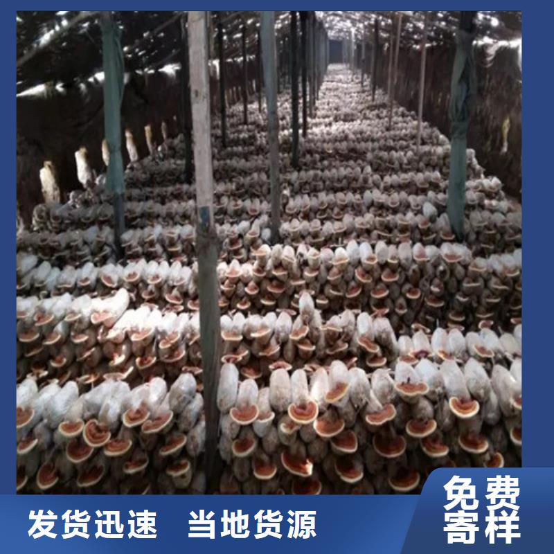 破壁灵芝孢子饭前吃还是饭后吃量大从优2025