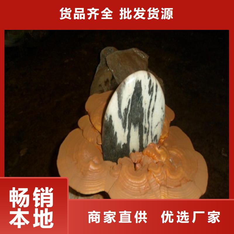 灵芝孢子粉产地采购