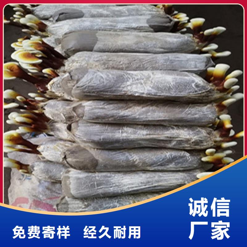【灵芝孢子粉,灵芝盆景一站式采购方便省心】