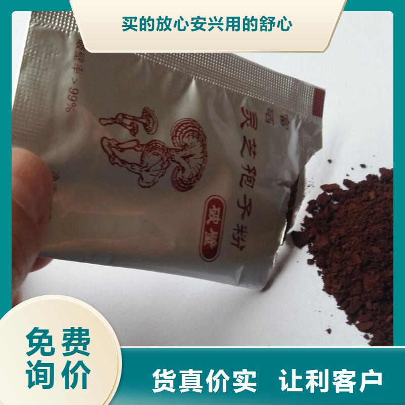 椴木灵芝视频-安徽省阜阳市|颍州|阜南|合肥|滁州|六安|黄山|安庆|池州椴木灵芝-云海
