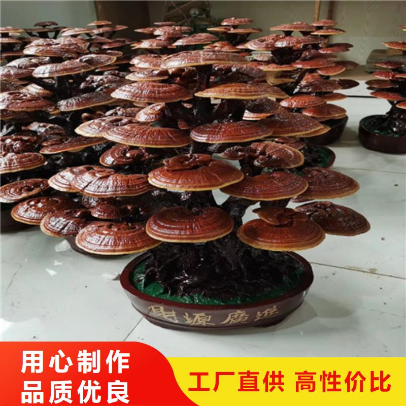 【灵芝孢子粉】,灵芝厂诚信经营