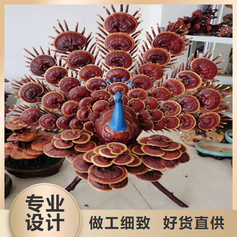 灵芝孢子粉-【灵芝】采购无忧