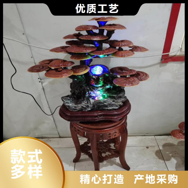 椴木灵芝视频-新浦|海州|南通|常州|徐州|南京|泰州云海椴木灵芝_ 云海灵芝种植专业社(连云港市分公司)