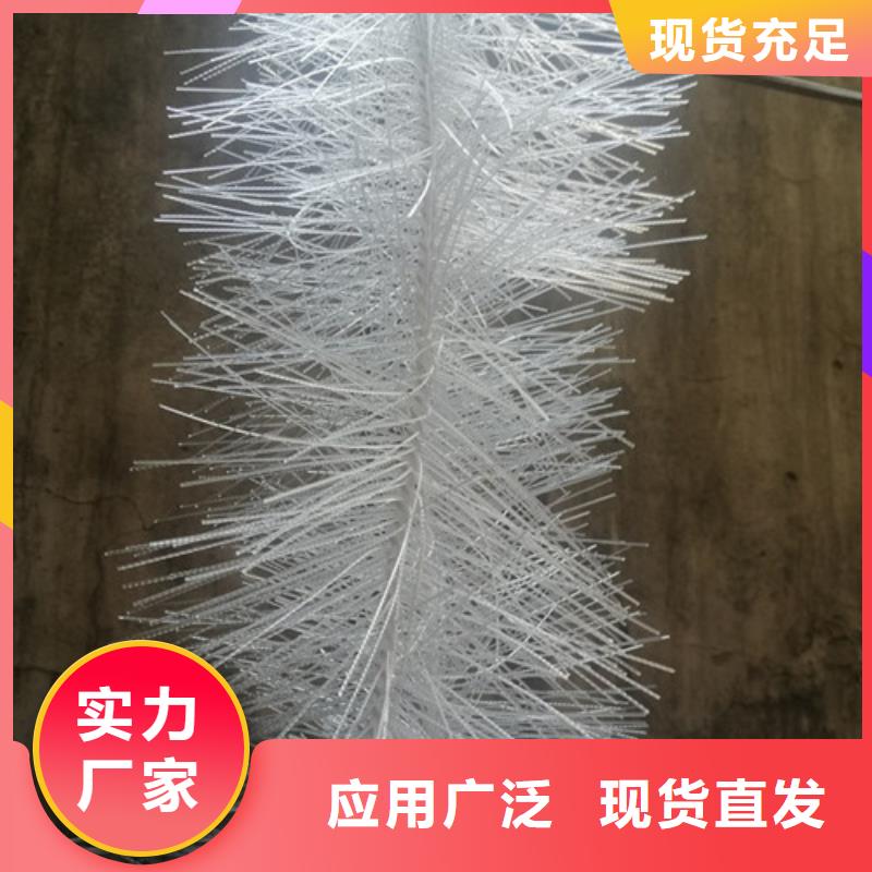 弹性填料柱状活性炭全新升级品质保障