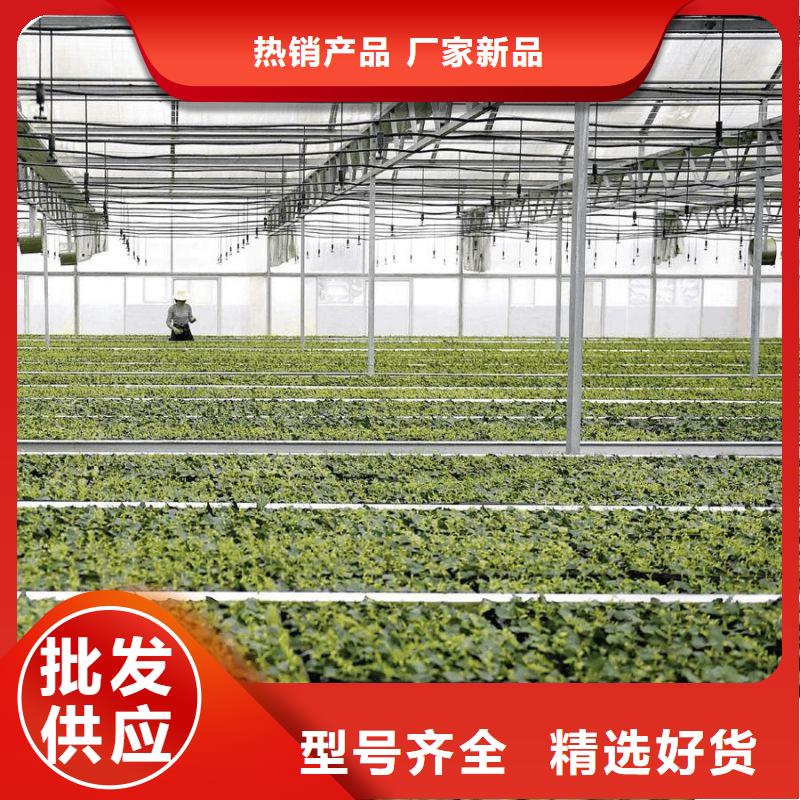 大棚管2方矩管精选货源