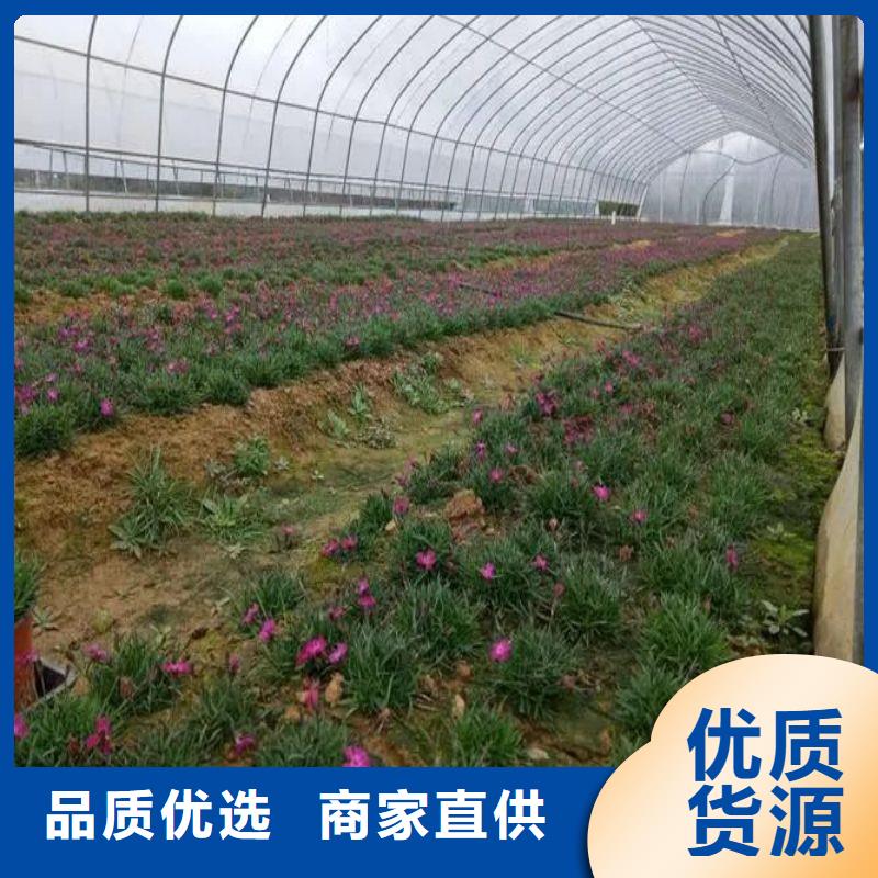 大棚管2,连栋大棚管原厂制造