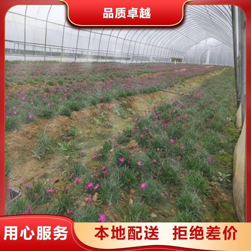 大棚管2-温室大棚管专业生产N年