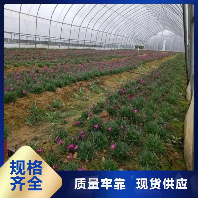 大棚管2方矩管热销产品