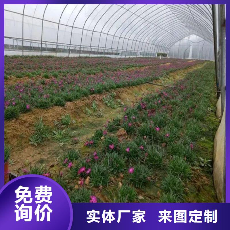 大棚管2-大棚管一站式采购