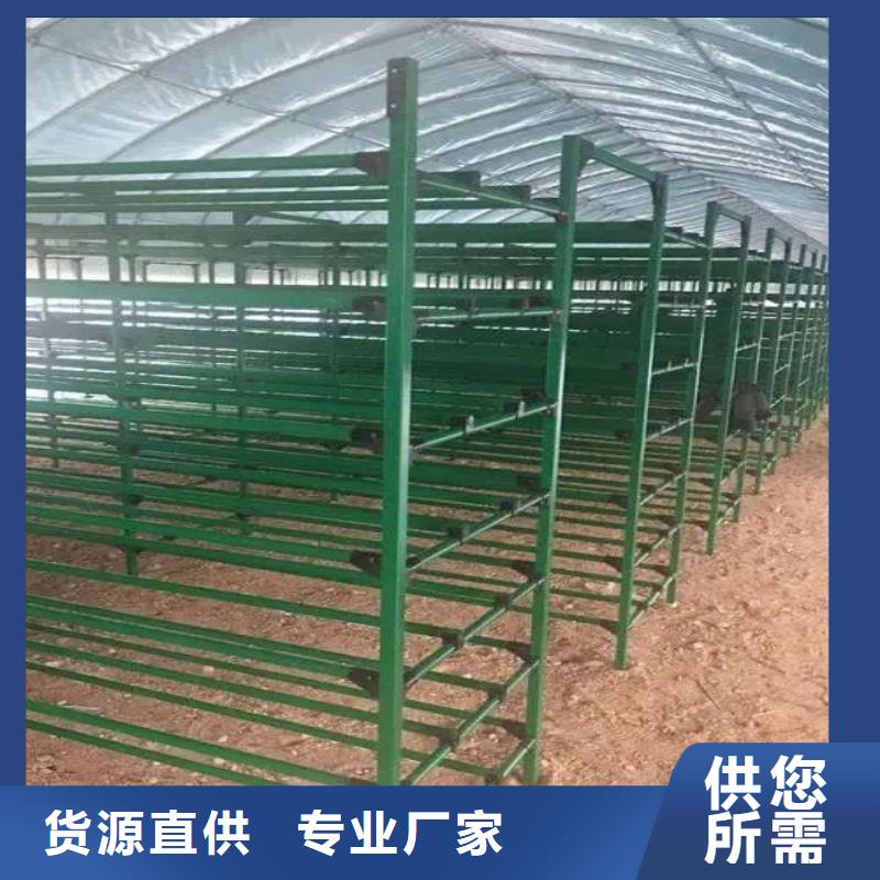 大棚管2连体大棚严选用料