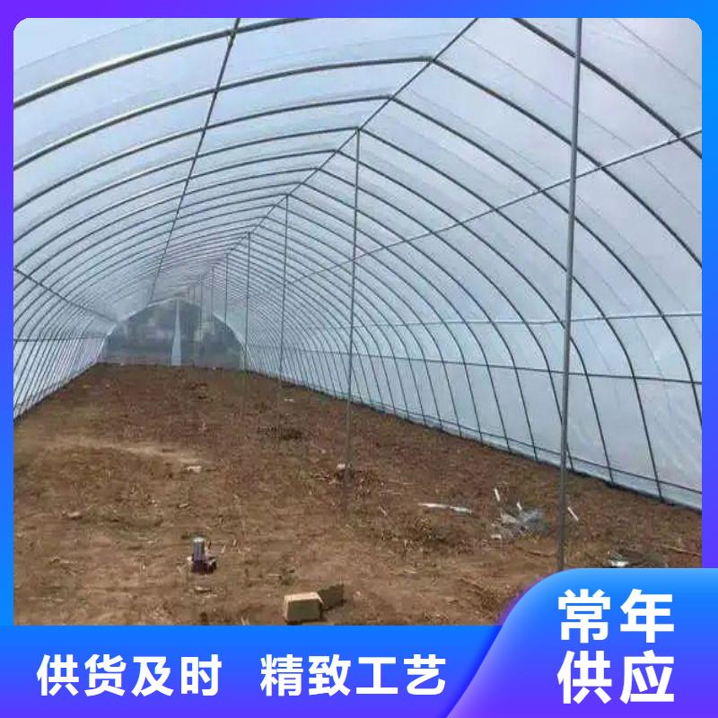 大棚管2椭圆管温室大棚生产安装