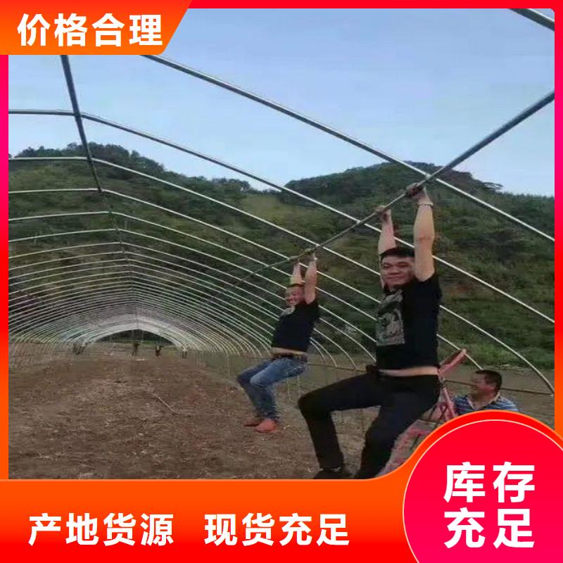 大棚管2,【连栋大棚管】定制零售批发