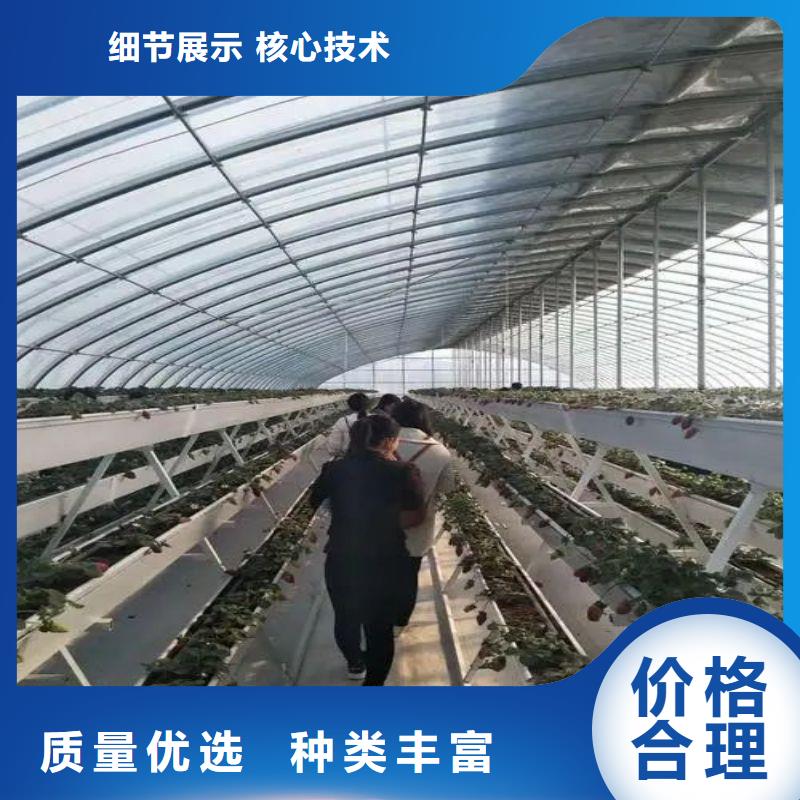 大棚管2 连体大棚用的放心