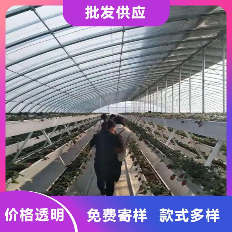 大棚管2大棚管源头直供
