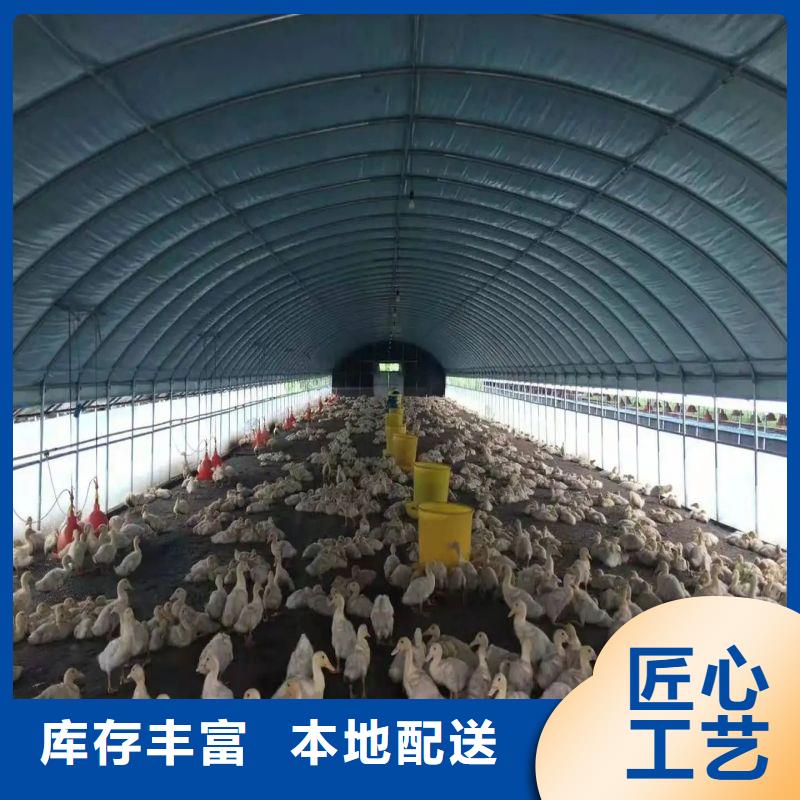 大棚管2大棚管库存充足