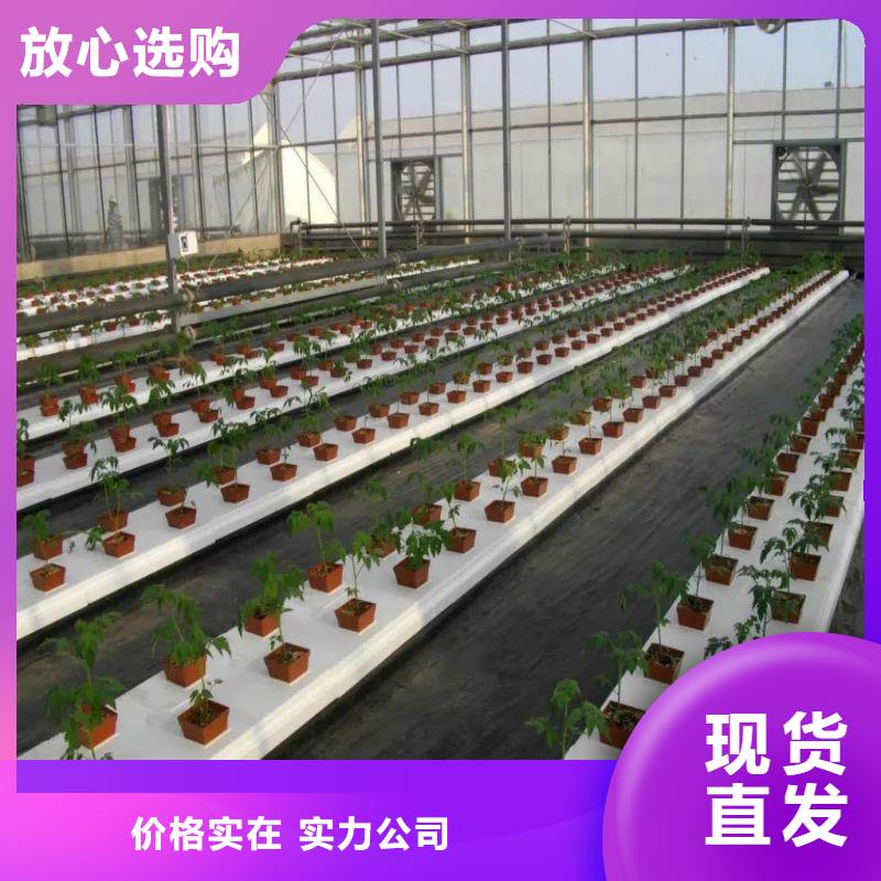 大棚管2_【温室大棚管】工厂直营