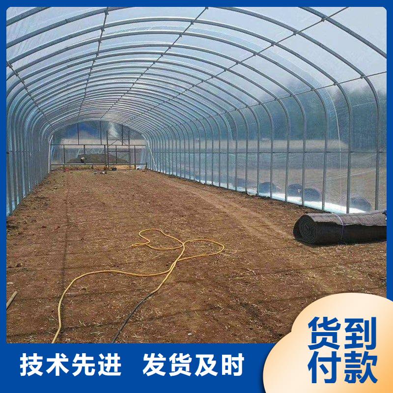 大棚管2温室大棚管专业信赖厂家