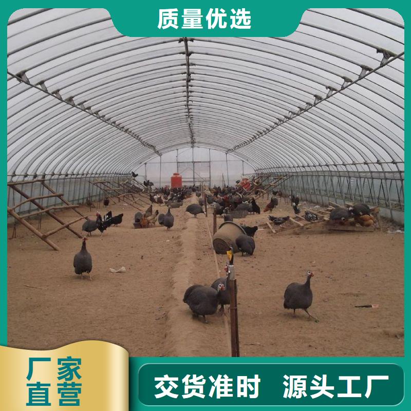 大棚管2温室大棚管精选货源