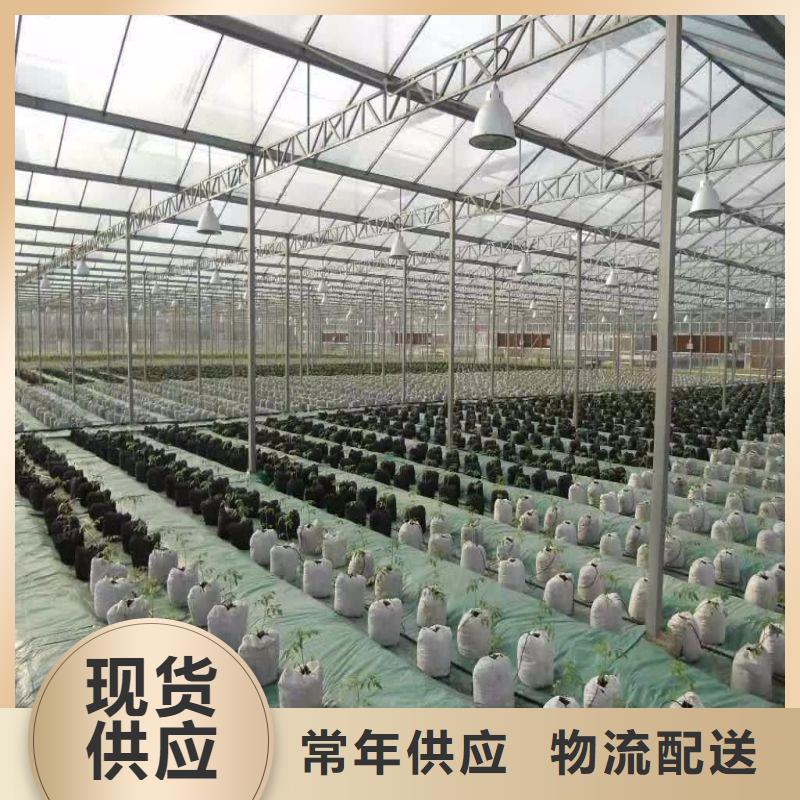 大棚管2大棚管厂家放心得选择