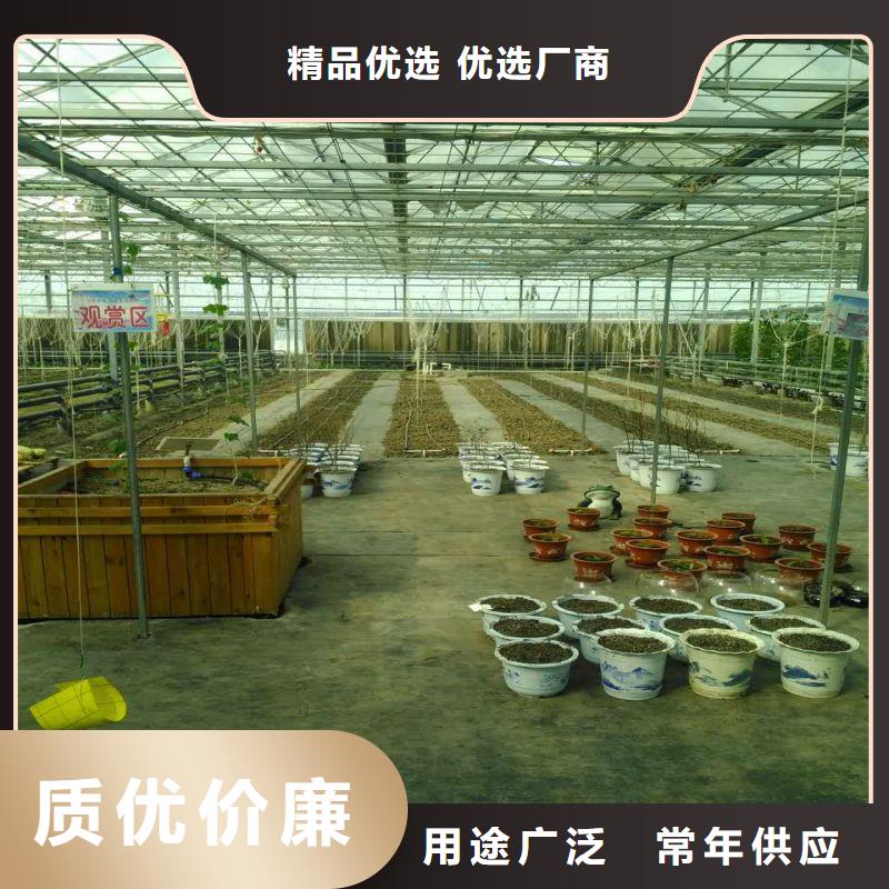 大棚管2连栋大棚管定制定做