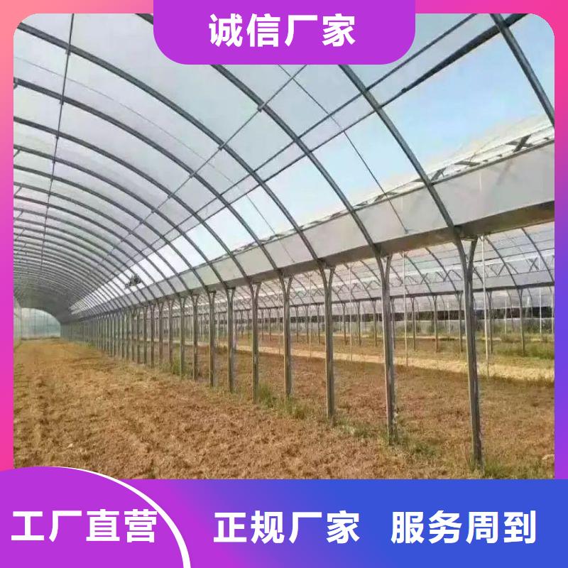 大棚管2大棚管买的放心安兴用的舒心