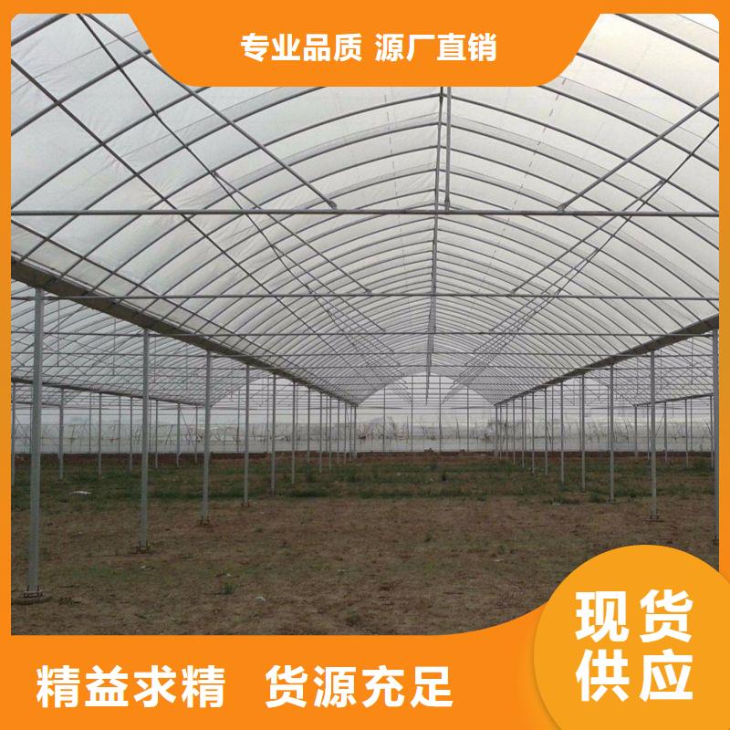 大棚管2【椭圆管温室大棚】实力厂家直销