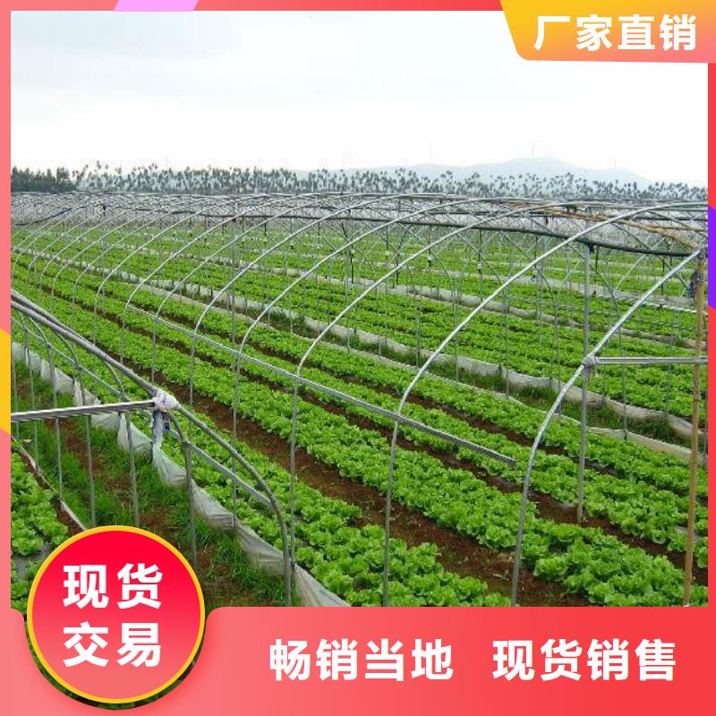 【大棚管,镀锌方管快捷物流】