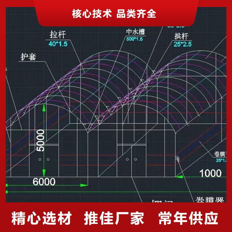 大棚管椭圆管温室大棚货源充足