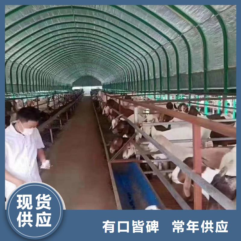 【大棚管,
镀锌方管老客户钟爱】