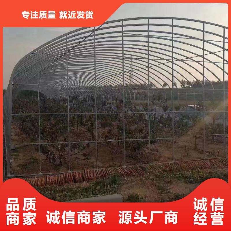 大棚管蔬菜温室大棚管实体厂家