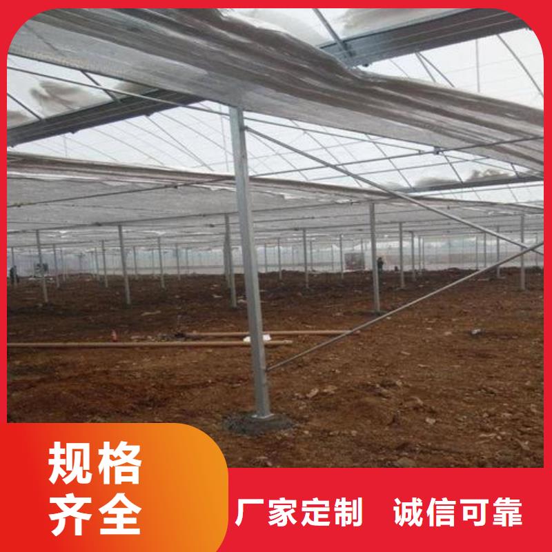  大棚管实体厂家