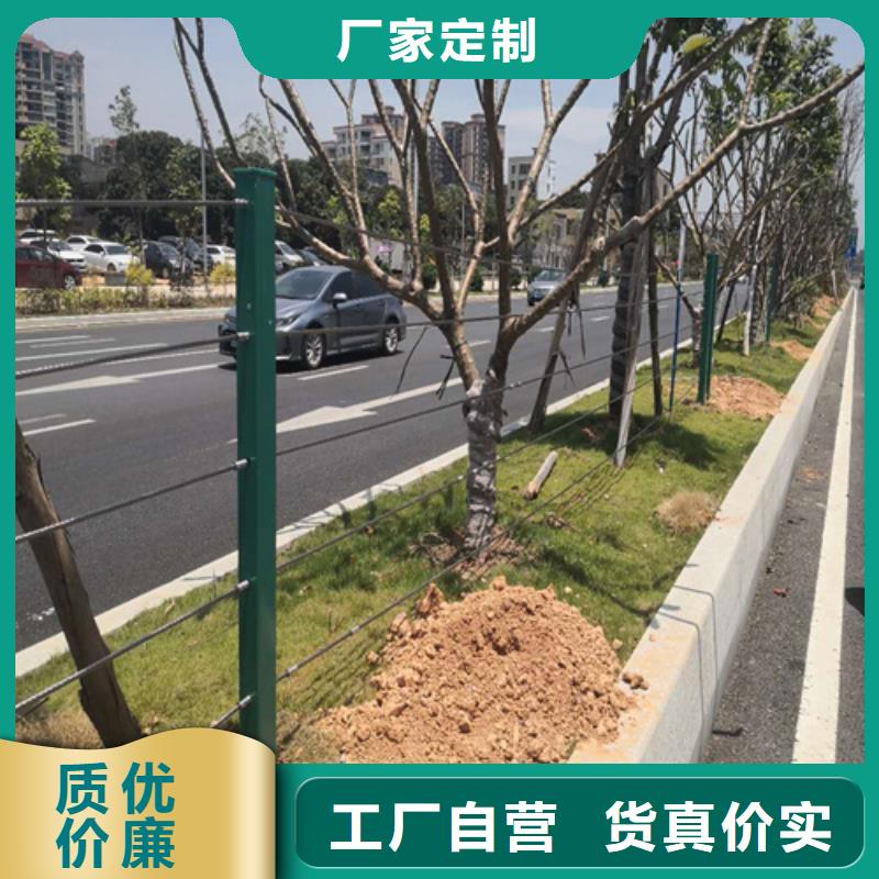 信誉好的不锈钢钢丝绳护栏