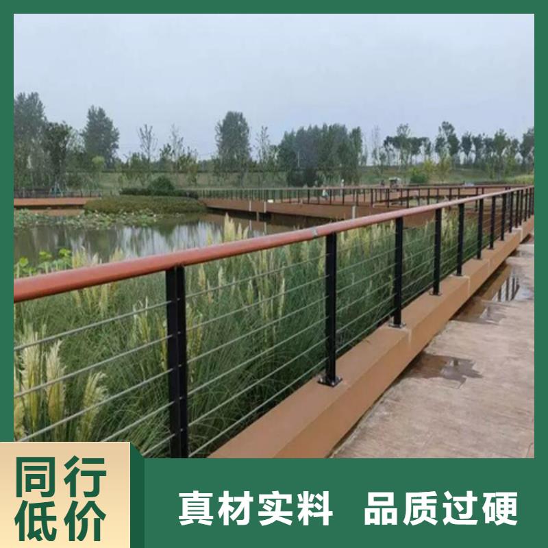 专业销售河道缆索护栏 -放心