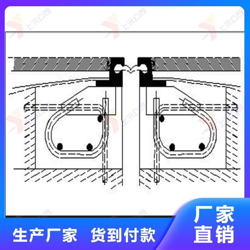 桥梁伸缩缝_桁架支座专业生产品质保证