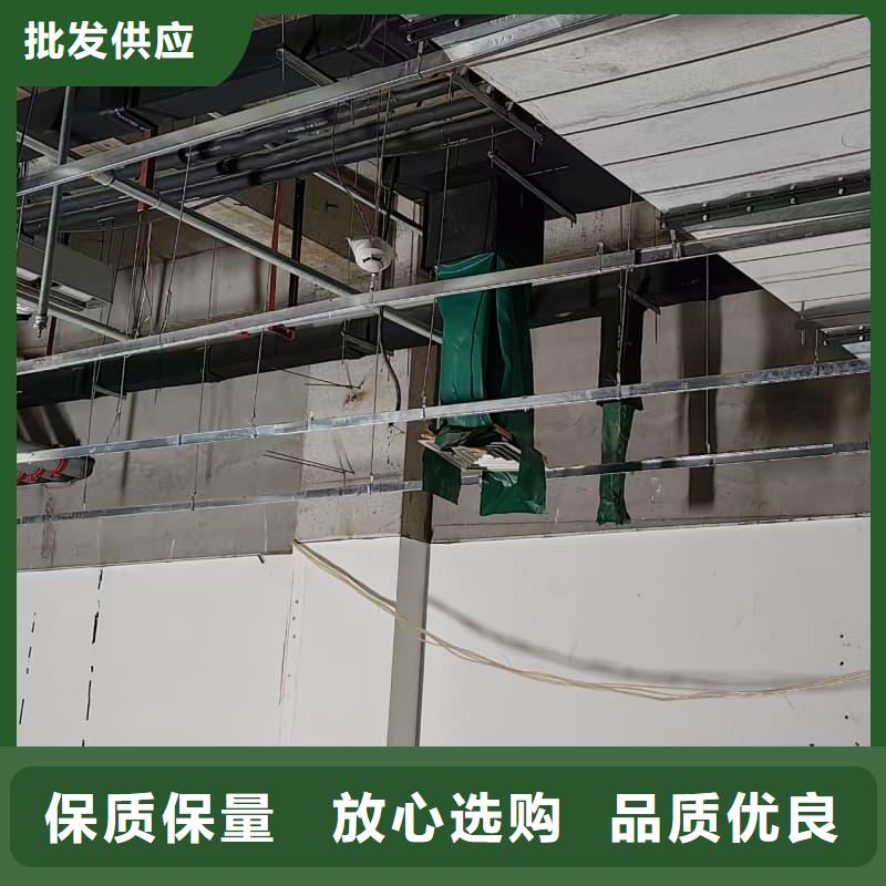 电动防护铅门-电动防护铅门靠谱