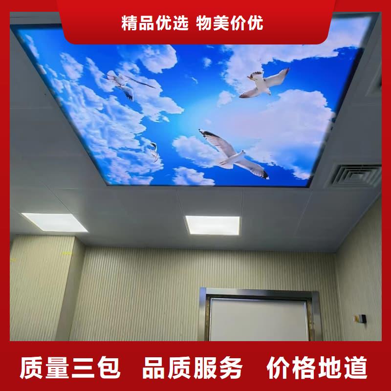 批发单开平移铅门_精选厂家