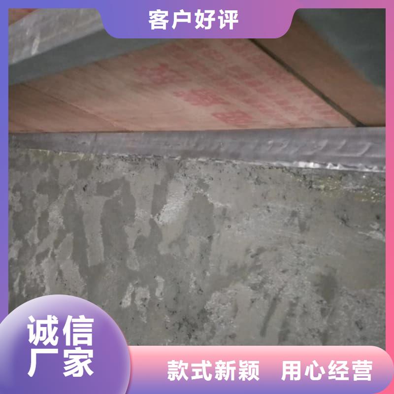 电动防护铅门买的放心找佳誉恒辐射防护工程有限公司