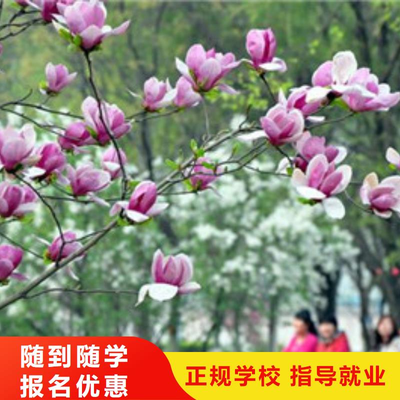 单招培训指导就业